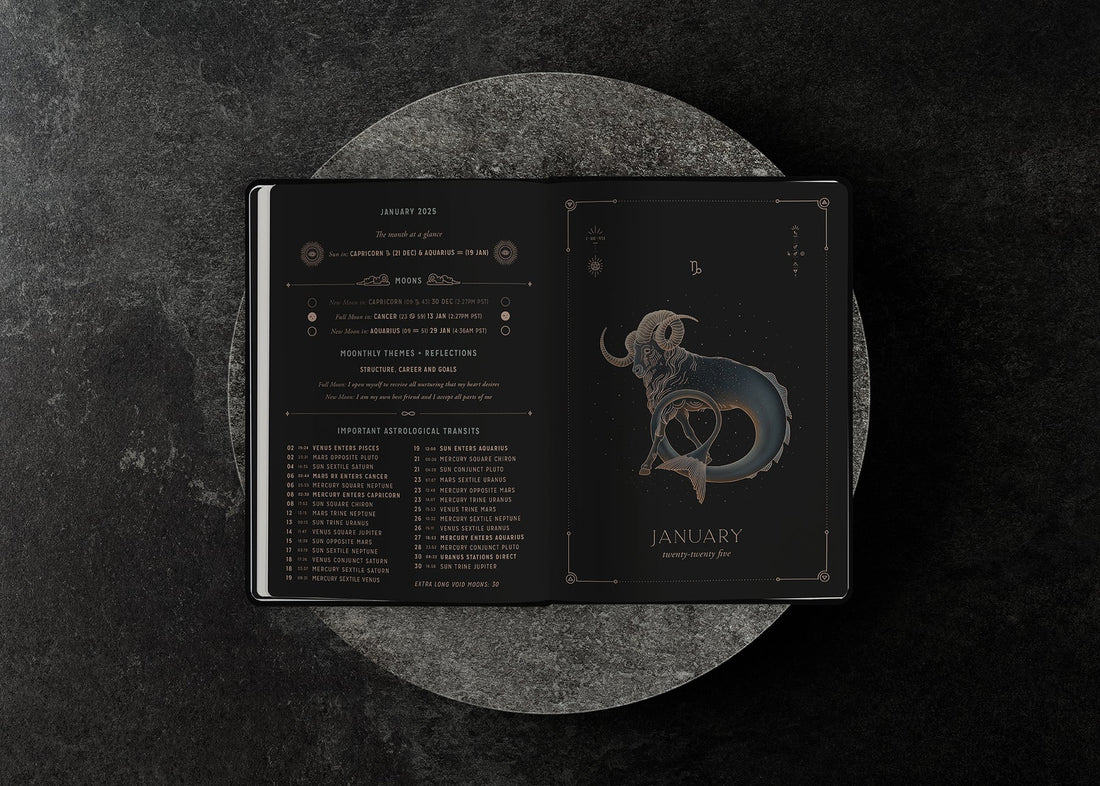 2025 ASTROLOGICAL PLANNER BY MAGIC OF I ~ LIMITED EDITION STONE